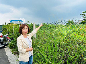 大里行政中心停擺是社宅未定案?何欣純批盧秀燕散播不實訊息