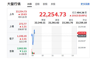 台股開盤》指數小跌小漲 分析師:若失守22230點 恐引發殺低取量