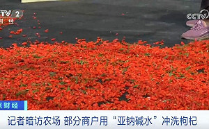 中國恐怖毒枸杞大量流入市面！竟用工業硫磺燻製添色澤害人腎衰竭