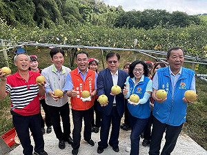 灌溉系統改善工程啟動 苗栗內灣高接梨產業再升級!