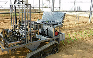 解決缺工問題！桃園農改場研發電動蔬菜移植機 