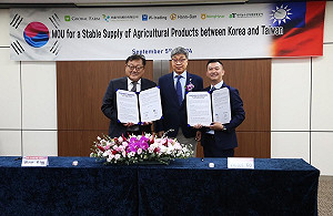 結球萵苣銷韓大豐收!台韓簽署蔬果MOU 促進雙邊農業合作