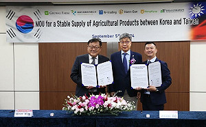 結球萵苣銷韓大豐收！台韓簽署蔬果MOU 促進雙邊農業合作