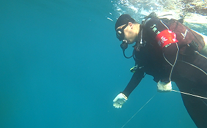 改善海底生態！彭啟明下海清海底覆網：已清除80公斤