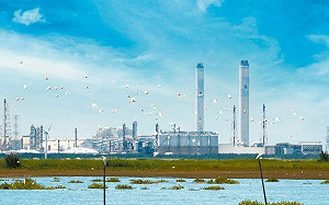 麥寮電廠1號機組6月除役後仍運轉至今？  監委申請自動調查  