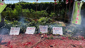 批京華城時別忘了社子島 學者:柯文哲奪民土地、助財團累積財富 本質一樣