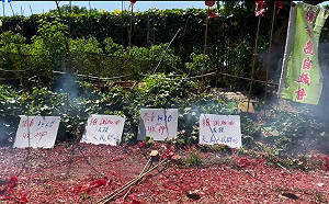 批京華城時別忘了社子島 學者：柯文哲奪民土地、助財團累積財富 本質一樣