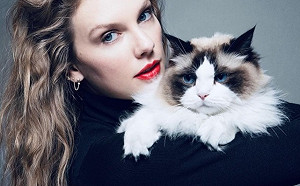 只影響了0.2%選民! 泰勒絲發文支持賀錦麗 CNN：幫助恐相當有限......