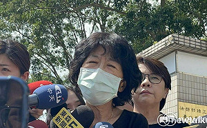 磕頭求幫發不平之鳴 陳佩琪:知柯文哲擋執政黨利益  但是為台灣好