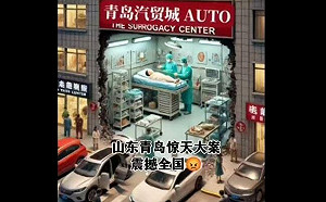 (影) 路虎女竟是煙霧彈！ 青島爆發大規模代孕醜聞 官方極力掩蓋真相
