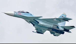 (影)價值5000萬美元蘇-30 傳遭烏克蘭肩射防空武器射下