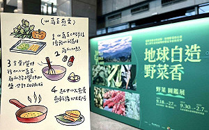 來自山海的原味 阿美族「野菜教母」傳遞原民採集文化知識