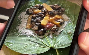 食用「蝸牛小米粽」釀3死！食藥署鎖定5可疑物質：一週完成調查