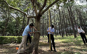 中華電海內外6747員工  5天減少碳排16公噸獲認證