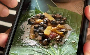 台東蝸牛小米粽驗出高濃度托福松！顏宗海：清水洗不掉