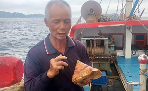 百萬寒武紀生物現蹤！宜蘭漁民龜山島外海捕獲稀有「活體龍宮貝」