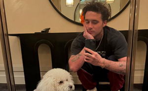 貝克漢兒子爆「虐狗」遭砲轟！布魯克林急刪文滅火