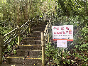 新北新增3例本土登革熱 衛生局:如有疑似症狀請儘速就醫