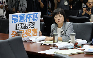 揭藍白憲訴法覆議案「文字完全一樣」林月琴：民眾黨就是小中國國民黨