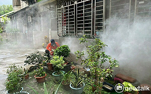 新北新增7例本土登革熱 社區篩檢站2日篩212人找出11例快篩陽