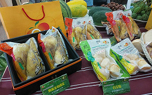 新北推綠竹筍全年經濟 加工品最低享88折