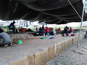 台中安和遺址母嬰遺骨相擁 學者估埋葬5000年可能因疫情死亡