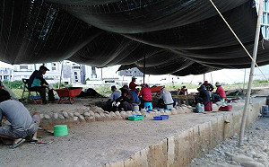 台中安和遺址母嬰遺骨相擁 學者估埋葬5000年可能因疫情死亡 