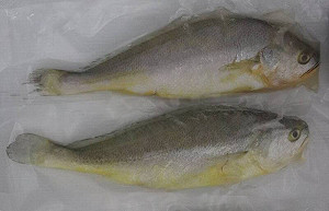 抽查25件魚類!「黃花魚」竟驗出殺菌劑   消基會:嚴重恐造成呼吸困難