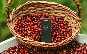 愛馬仕等級豆Ninety Plus來台 全球首間門市