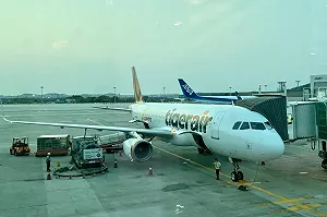 山陀兒登陸台灣 虎航部分高雄航班取消