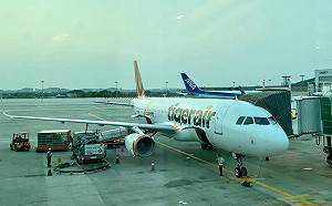 山陀兒登陸台灣　虎航部分高雄航班取消