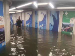山陀兒雨炸基隆釀災!民眾直擊市區地下道淹成「謝國樑的水上樂園」