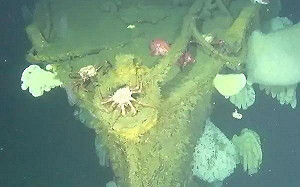 美調查團發現「太平洋幽靈船」殘骸! 二戰時曾遭日軍俘虜 外觀完整矗立海底