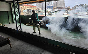 登革熱全球爆253萬例!疾管署示警:梅雨季本土感染風險提高