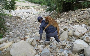 毛孩不哭   台中將設專職動物救援機制