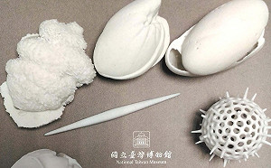 典藏化石免煩惱  3D列印來幫你
