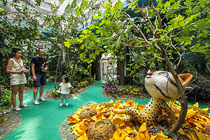 石虎家族來做伴  活動倒數計時中