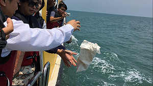 聯合海葬  三家族送別親人入大海