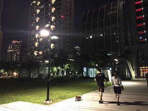 中市府與台電合作  年省逾億電費