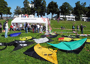 紀念劉曉波  特赦組織摃上德科隆中國節