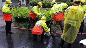 尼莎撲台 中市3萬免費沙包供領取