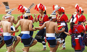 林全盼推動落實「原住民語言發展法」