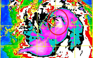 尼莎北移風雨大 鄭明典一圖提醒宜蘭應變