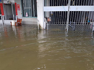 屏東大淹水　莊瑞雄籲：兩周內提改善計畫