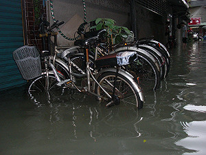 災後復原要注意！小心惹病上身
