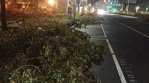 陳其邁限3天內恢復高雄市容   市府工務局疲於奔命