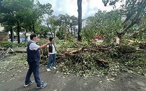 嗆綠營造謠抹黑柯志恩   國民黨高市黨部:政治口水和淹水一樣令人討厭