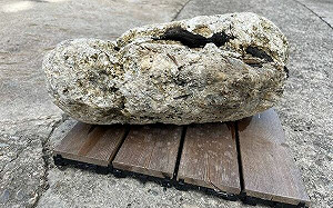 颱風過後有驚喜？ 「漂浮黃金」龍涎香澎湖現蹤！村長證實：鑑定中