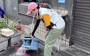 新北登革熱再＋4  侯友宜籲禁入管制區  違者最高罰30萬元罰鍰