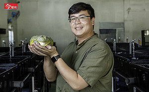 獸醫系畢業生逆襲記！不顧爸媽反對創業養蛙 6年衝出3千萬年營收、全美市占7成：熱情也能變賺錢生意